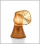 Birzi